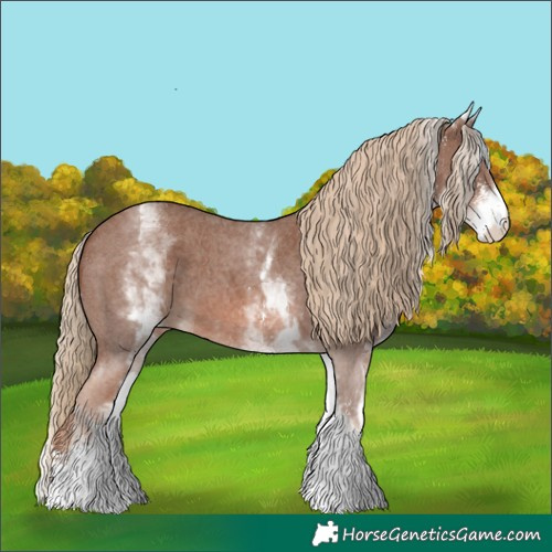Horse Color:White Spotted Chestnut Sabino 
