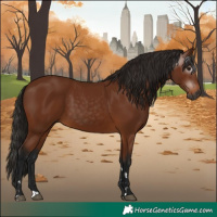 Horse Color:Gray Bay