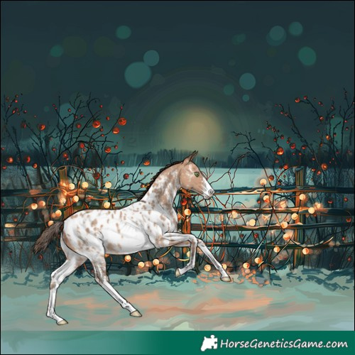 Horse Color:Amber Champagne Sabino Near Leopard Rabicano 