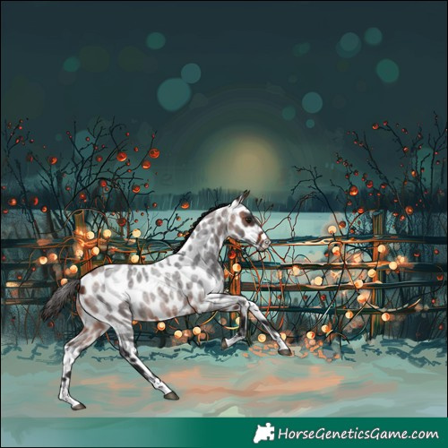 Horse Color:Bay Roan Leopard Rabicano 