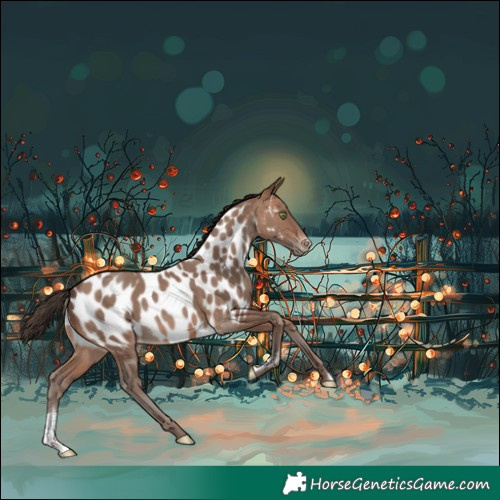 Horse Color:Sable Champagne Sabino Near Leopard 