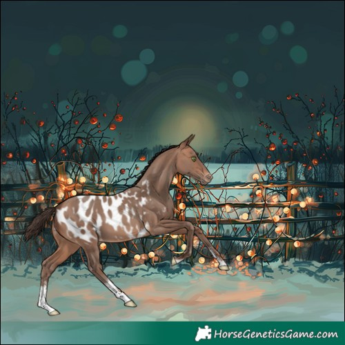 Horse Color:Sable Champagne Sabino Near Leopard 