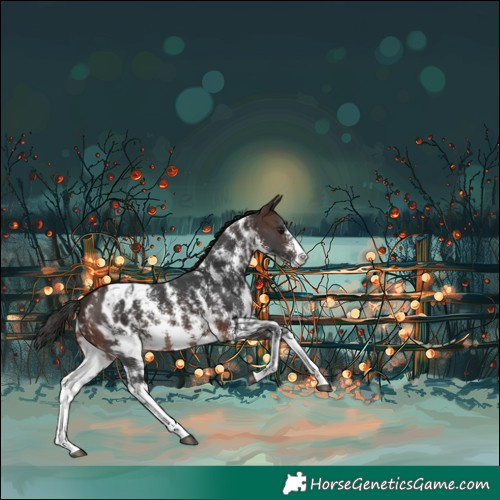 Horse Color:Brown Sabino Blanket 