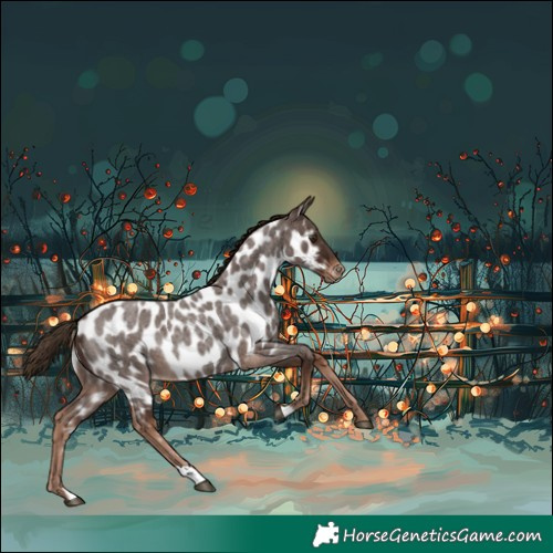 Horse Color:Liver Red Roan Near Leopard Rabicano 