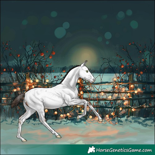 Horse Color:Sable Champagne Sabino Appaloosa Rabicano 