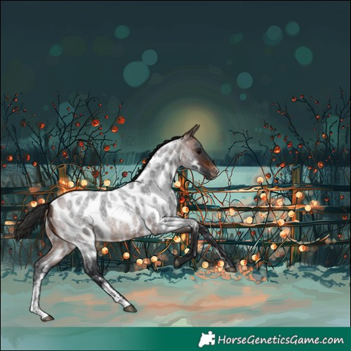 Horse Color:Brown Roan Sabino Near Leopard Rabicano 
