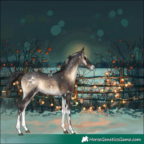 Horse Color:White Spotted Brown Onyx Tobiano 