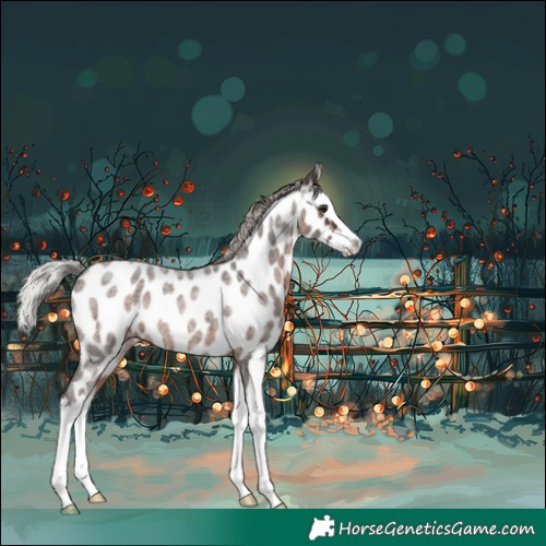 Horse Color:Silver Brown Roan Splash Appaloosa 