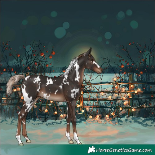 Horse Color:White Spotted Liver Chestnut 