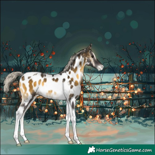 Horse Color:Silver Buckskin Onyx Tobiano Appaloosa 