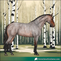 Horse Color:Bay Roan 