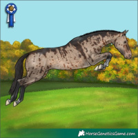 Horse Color:Brown Dun Tobiano Appaloosa Brindle
