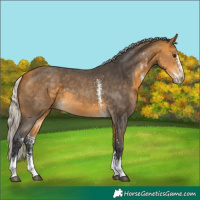 Horse Color:Silver Buckskin Sabino 