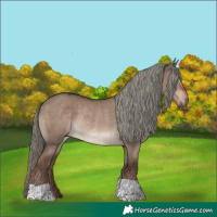 Horse Color:Liver Red Dun Mushroom Rabicano