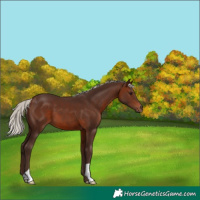 Horse Color:Silver Brown