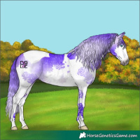 Horse Color:Gray Watercolor Bay Splash Tobiano