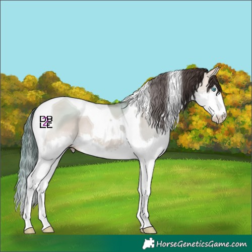 Horse Color:White Spotted Amber Champagne Dun Splash Tobiano