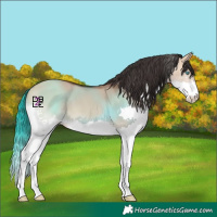 Horse Color:Bay Dun Splash
