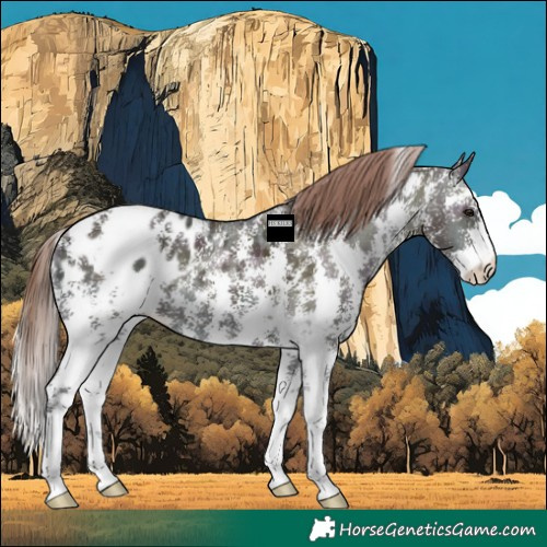 Horse Color:Midnight Amber Champagne Ice Onyx Sabino Blanket