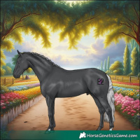Horse Color:Silver Black Chinchilla