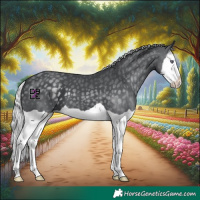 Horse Color:Silver Black Chinchilla Splash 