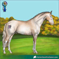 Horse Color:Gray Gold Champagne Pearl Sabino