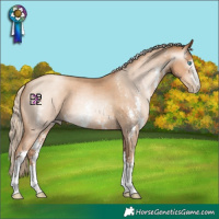 Horse Color:Gray Gold Champagne Pearl Sabino 