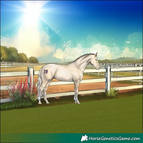 Horse Color:Palomino Pearl Tobiano 