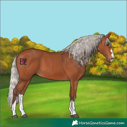 Horse Color:Silver Bay 