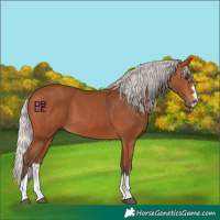 Horse Color:Silver Bay