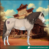 Horse Color:Amber Champagne Dun