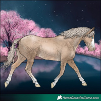 Horse Color:Chocolate Palomino Pearl 