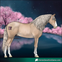 Horse Color:Chocolate Palomino Pearl