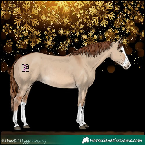 Horse Color:Red Dun Splash Rabicano