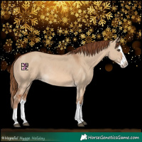 Horse Color:Red Dun Splash Rabicano