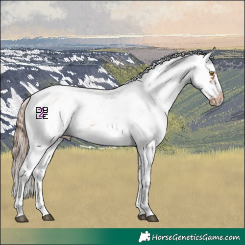 Horse Color:White Spotted Brown Pearl Mushroom Sabino Frame Appaloosa 