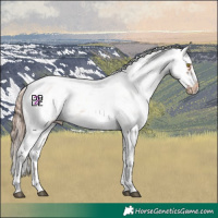 Horse Color:White Spotted Brown Pearl Mushroom Sabino Frame Blanket