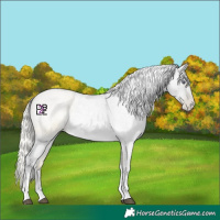 Horse Color:Silver Blue Chinchilla Roan Pearl Tobiano 