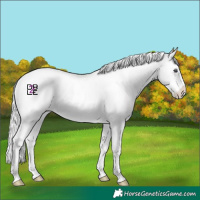 Horse Color:Chocolate Silver Blue Chinchilla Roan Snowdrop Pearl Splash Tobiano Frame 