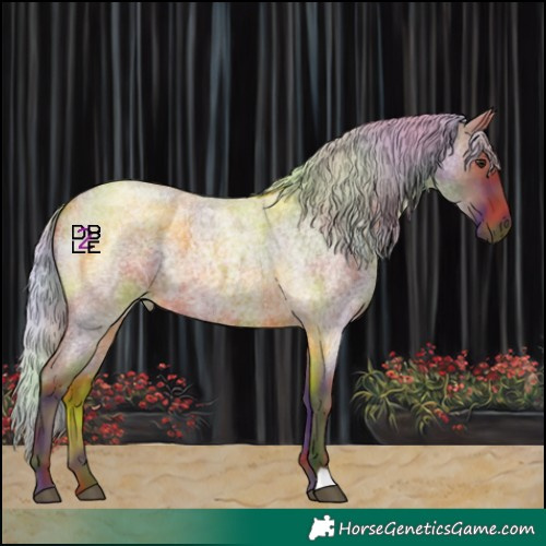 Horse Color:Nacre Silver Brown Roan 