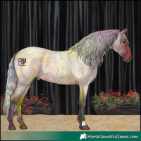 Horse Color:Nacre Silver Brown Roan