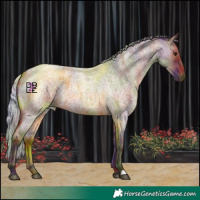 Horse Color:Nacre Silver Brown Roan