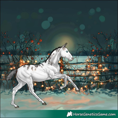 Horse Color:White Spotted Brown Onyx Sabino Splash Near Leopard Rabicano 