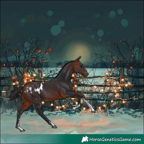Horse Color:Bay Sabino Blanket  and Bay Sabino Rabicano 