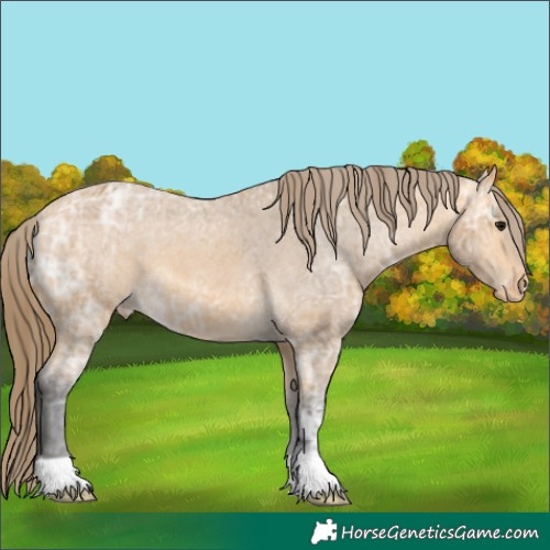 Horse Color:Buckskin Ice Varnish