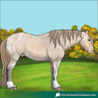 Horse Color:Buckskin Ice Varnish