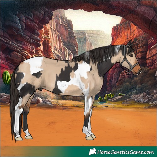Horse Color:Smoky Black Tobiano  and Bay Dun Tobiano 