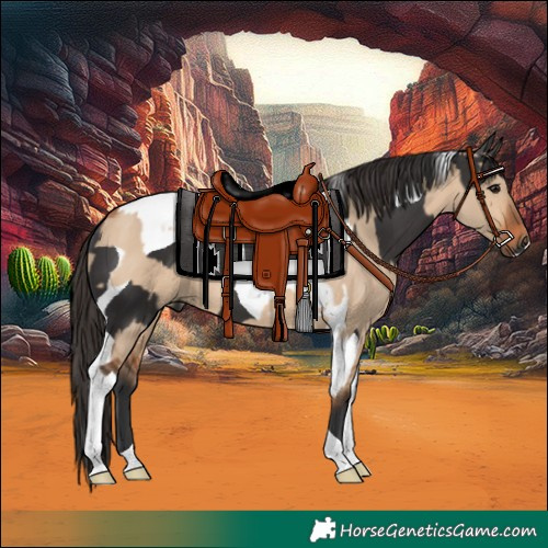 Horse Color:Smoky Black Tobiano and Bay Dun Tobiano