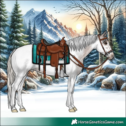 Horse Color:Silver Blue Roan Tobiano Frame 