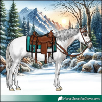 Horse Color:Silver Blue Roan Tobiano Frame